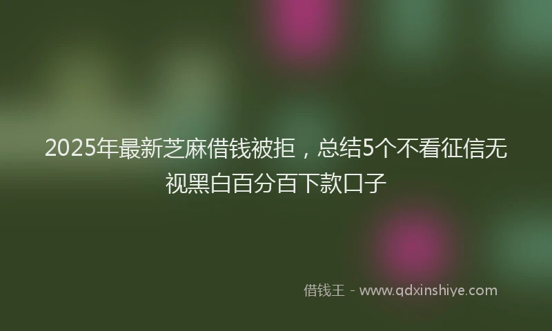2025年最新芝麻借钱被拒，总结5个不看征信无视黑白百分百下款口子
