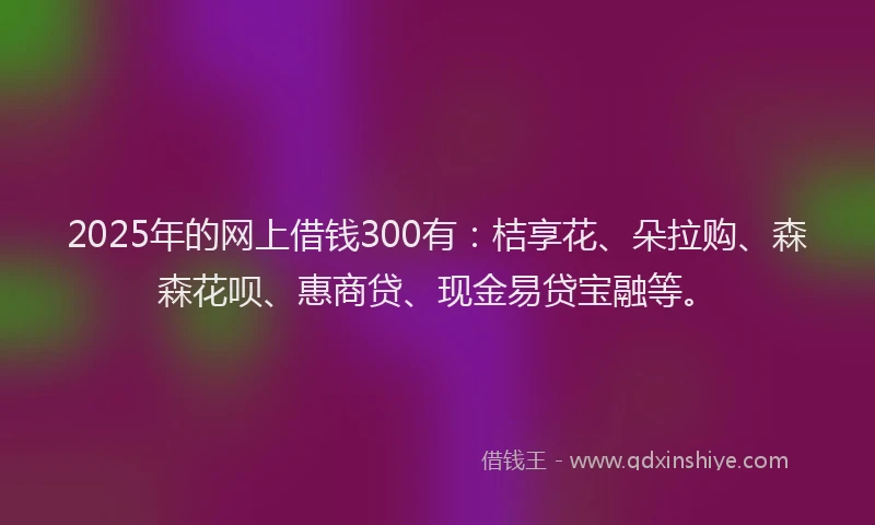 2025年的网上借钱300有：桔享花、朵拉购、森森花呗、惠商贷、现金易贷宝融等。