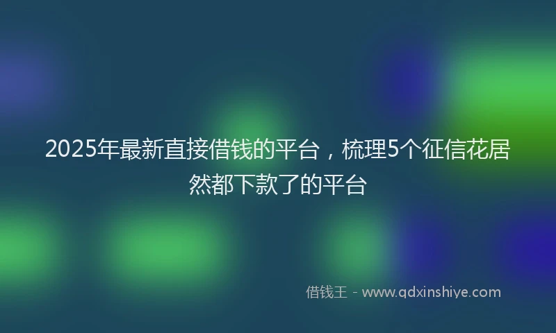 2025年最新直接借钱的平台，梳理5个征信花居然都下款了的平台