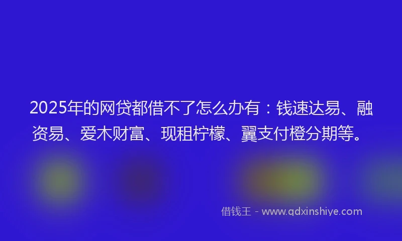 2025年的网贷都借不了怎么办有：钱速达易、融资易、爱木财富、现租柠檬、翼支付橙分期等。