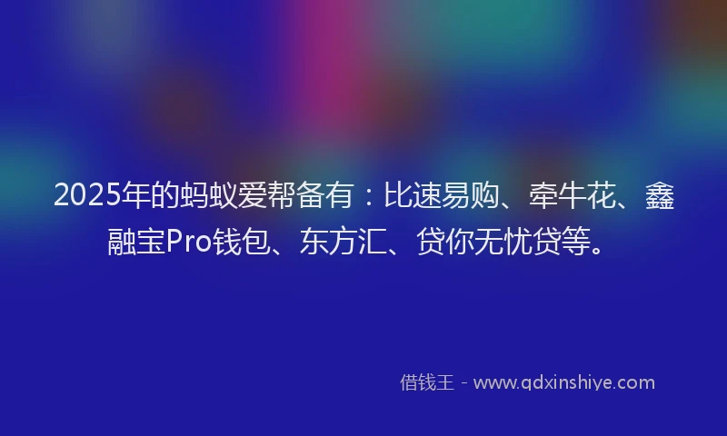 2025年的蚂蚁爱帮备有：比速易购、牵牛花、鑫融宝Pro钱包、东方汇、贷你无忧贷等。