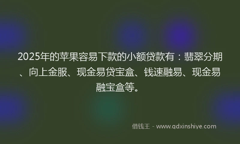 2025年的苹果容易下款的小额贷款有：翡翠分期、向上金服、现金易贷宝盒、钱速融易、现金易融宝盒等。