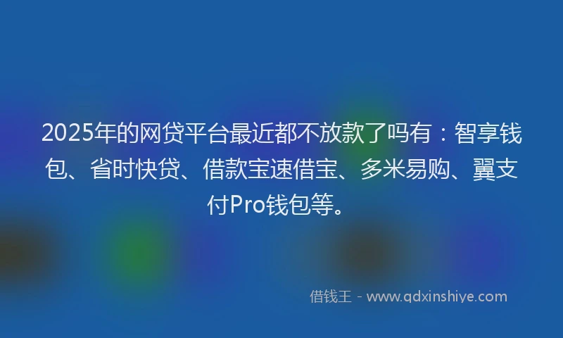 2025年的网贷平台最近都不放款了吗有：智享钱包、省时快贷、借款宝速借宝、多米易购、翼支付Pro钱包等。