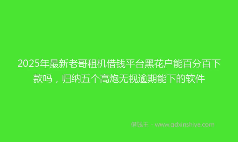 2025年最新老哥租机借钱平台黑花户能百分百下款吗，归纳五个高炮无视逾期能下的软件