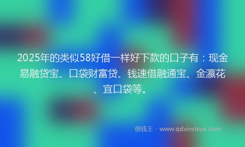 2025年的类似58好借一样好下款的口子有：现金易融贷宝、口袋财富贷、钱速借融通宝、金瀛花、宜口袋等。
