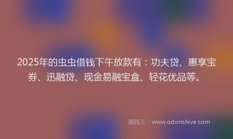 2025年的虫虫借钱下午放款有：功夫贷、惠享宝券、迅融贷、现金易融宝盒、轻花优品等。