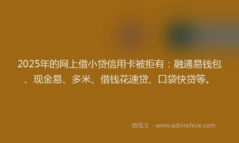 2025年的网上借小贷信用卡被拒有：融通易钱包、现金易、多米、借钱花速贷、口袋快贷等。