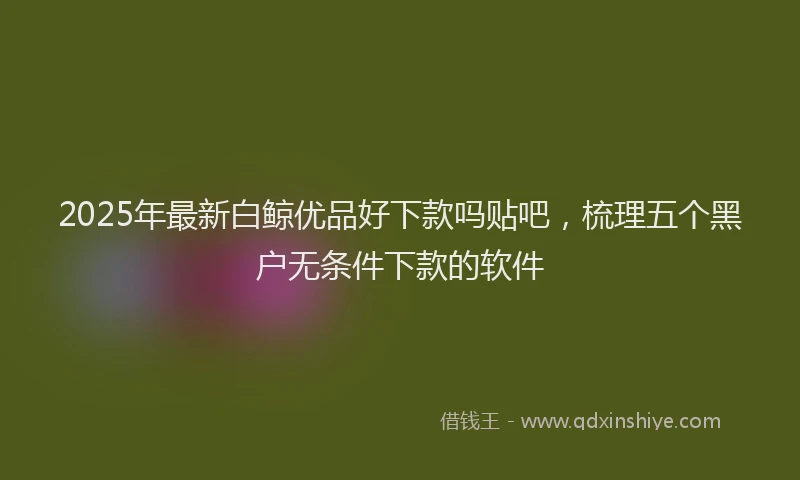 2025年最新白鲸优品好下款吗贴吧，梳理五个黑户无条件下款的软件