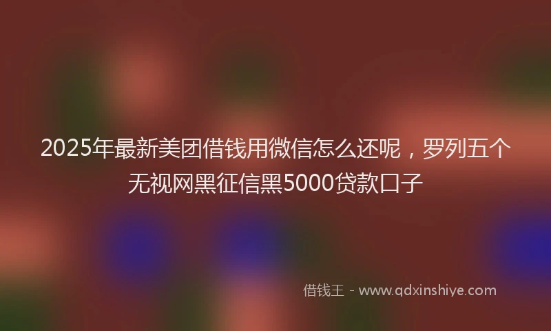 2025年最新美团借钱用微信怎么还呢，罗列五个无视网黑征信黑5000贷款口子