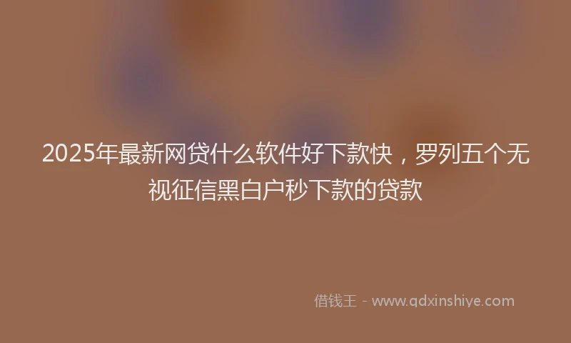 2025年最新网贷什么软件好下款快，罗列五个无视征信黑白户秒下款的贷款