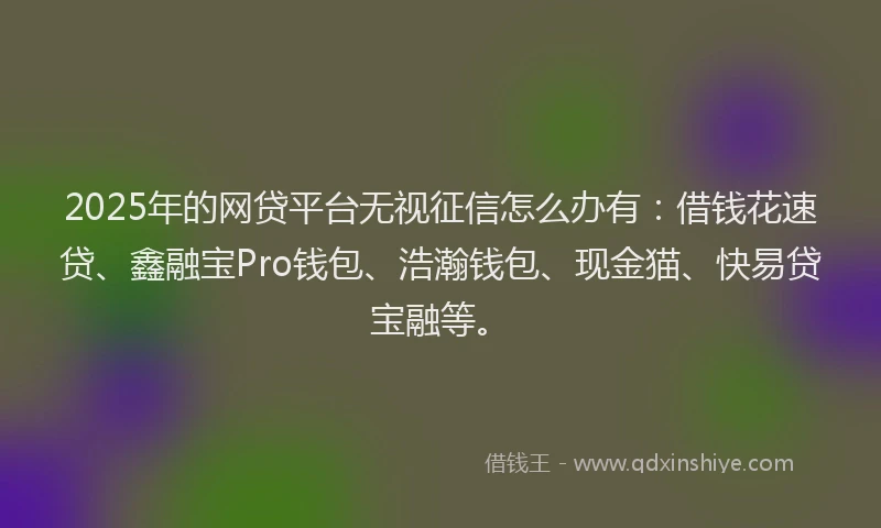 2025年的网贷平台无视征信怎么办有：借钱花速贷、鑫融宝Pro钱包、浩瀚钱包、现金猫、快易贷宝融等。