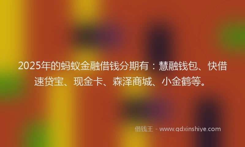 2025年的蚂蚁金融借钱分期有：慧融钱包、快借速贷宝、现金卡、森泽商城、小金鹤等。