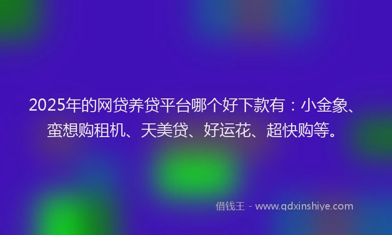 2025年的网贷养贷平台哪个好下款有：小金象、蛮想购租机、天美贷、好运花、超快购等。