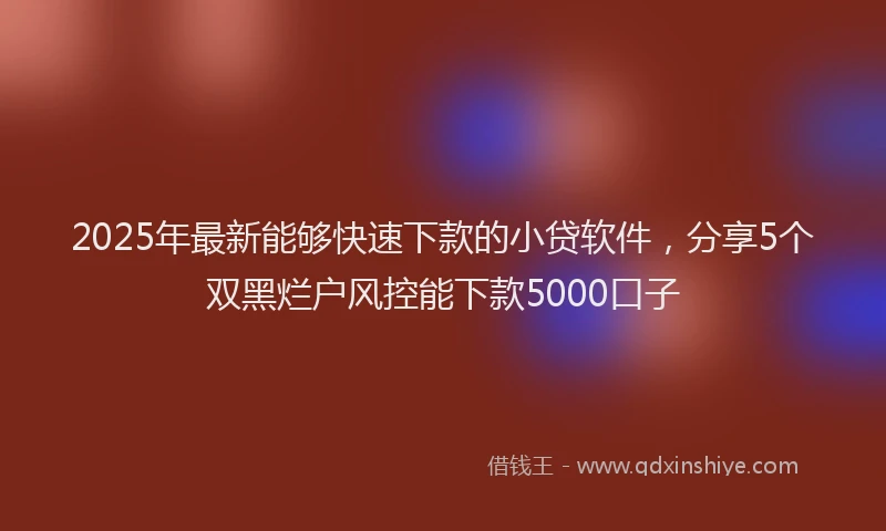 2025年最新能够快速下款的小贷软件，分享5个双黑烂户风控能下款5000口子