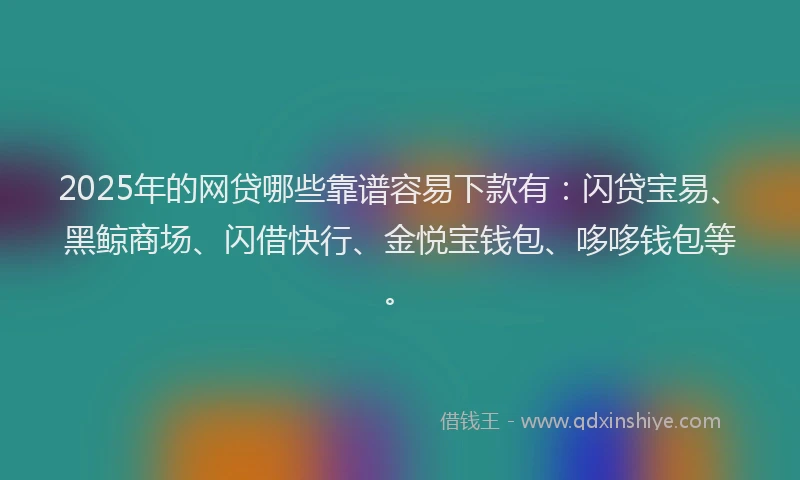 2025年的网贷哪些靠谱容易下款有:闪贷宝易、黑鲸商场、闪借快行、金悦宝钱包、哆哆钱包等。