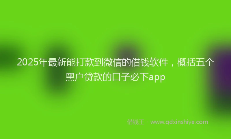 2025年最新能打款到微信的借钱软件，概括五个黑户贷款的口子必下app