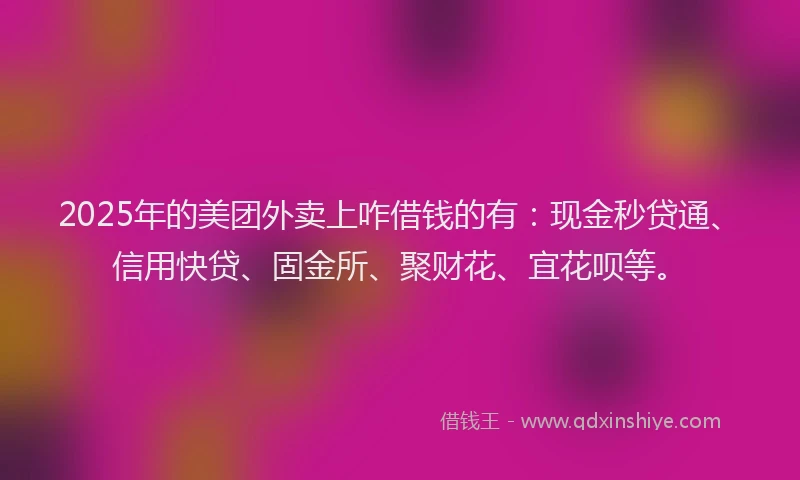 2025年的美团外卖上咋借钱的有：现金秒贷通、信用快贷、固金所、聚财花、宜花呗等。