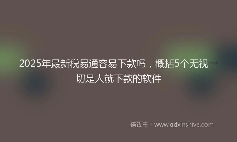 2025年最新税易通容易下款吗，概括5个无视一切是人就下款的软件