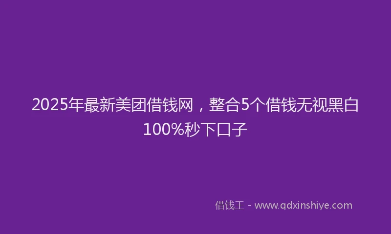 2025年最新美团借钱网，整合5个借钱无视黑白100%秒下口子