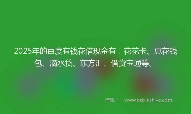 2025年的百度有钱花借现金有：花花卡、惠花钱包、滴水贷、东方汇、借贷宝通等。