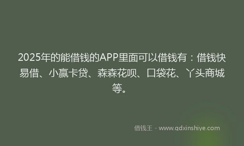 2025年的能借钱的APP里面可以借钱有：借钱快易借、小赢卡贷、森森花呗、口袋花、丫头商城等。
