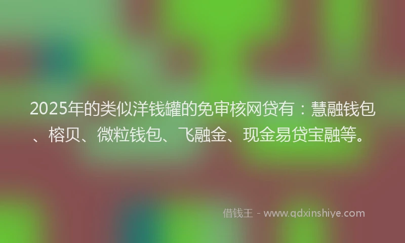 2025年的类似洋钱罐的免审核网贷有：慧融钱包、榕贝、微粒钱包、飞融金、现金易贷宝融等。