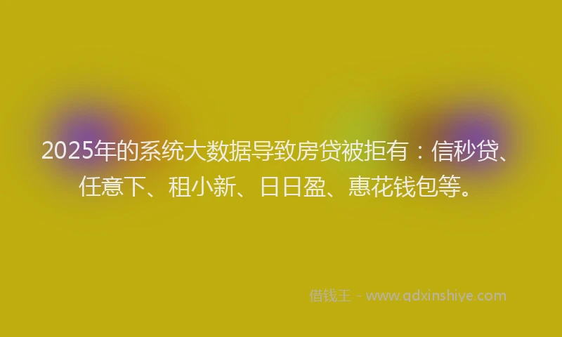 2025年的系统大数据导致房贷被拒有：信秒贷、任意下、租小新、日日盈、惠花钱包等。