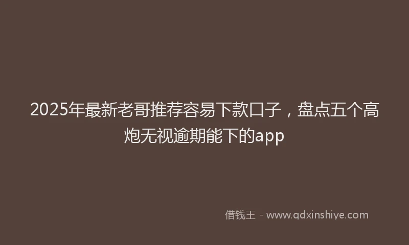 2025年最新老哥推荐容易下款口子，盘点五个高炮无视逾期能下的app