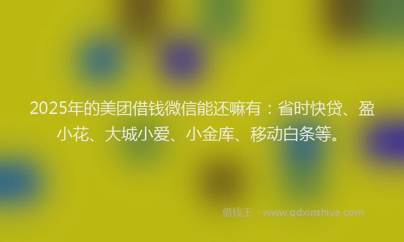 2025年的美团借钱微信能还嘛有：省时快贷、盈小花、大城小爱、小金库、移动白条等。