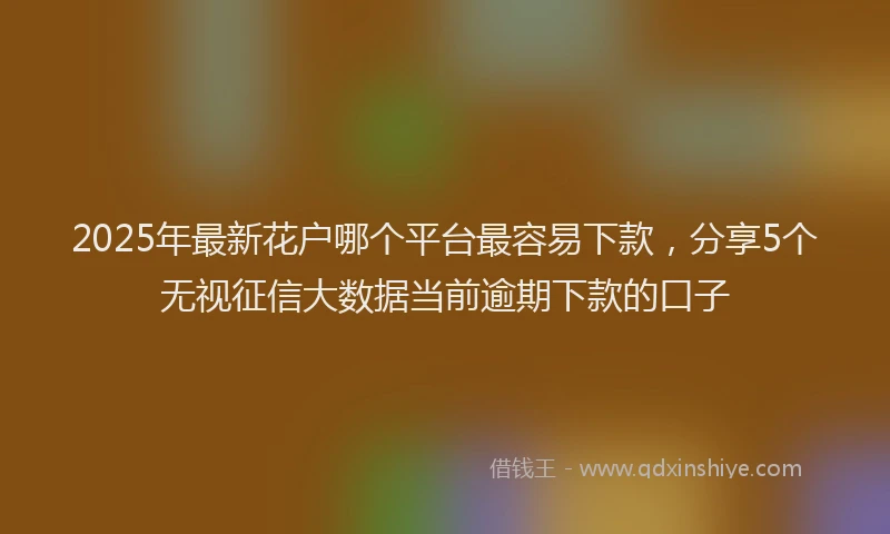 2025年最新花户哪个平台最容易下款，分享5个无视征信大数据当前逾期下款的口子