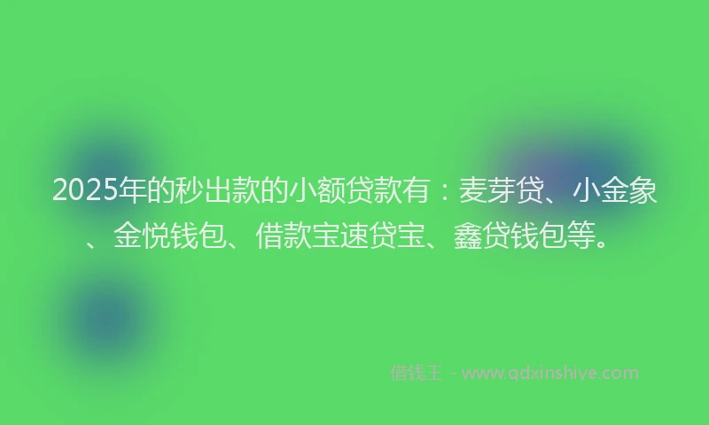 2025年的秒出款的小额贷款有：麦芽贷、小金象、金悦钱包、借款宝速贷宝、鑫贷钱包等。