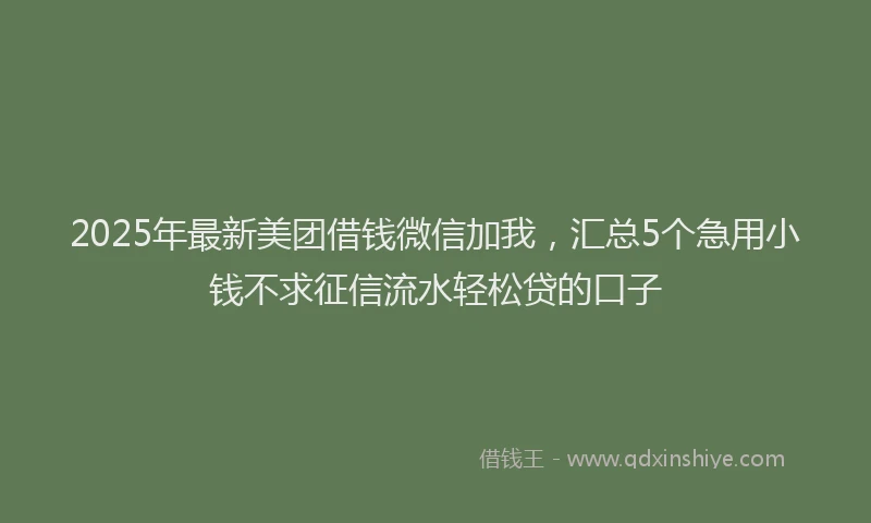 2025年最新美团借钱微信加我，汇总5个急用小钱不求征信流水轻松贷的口子