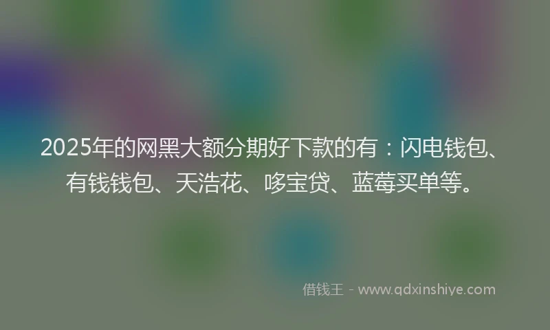 2025年的网黑大额分期好下款的有：闪电钱包、有钱钱包、天浩花、哆宝贷、蓝莓买单等。