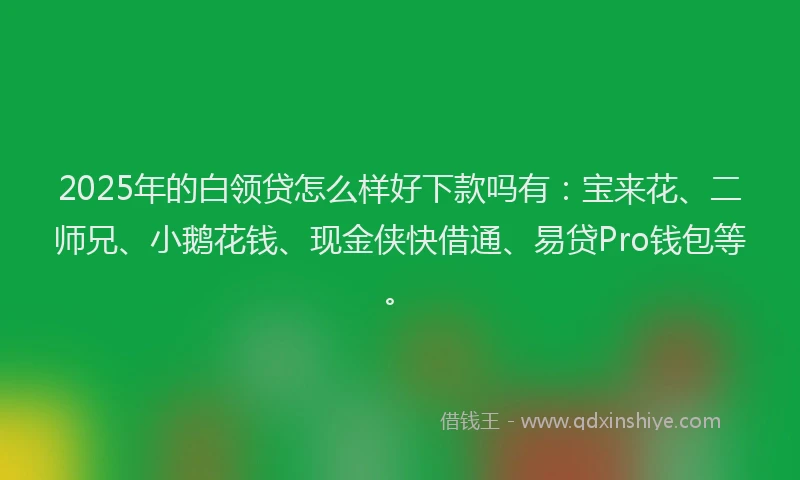2025年的白领贷怎么样好下款吗有：宝来花、二师兄、小鹅花钱、现金侠快借通、易贷Pro钱包等。