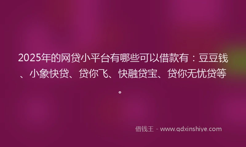 2025年的网贷小平台有哪些可以借款有：豆豆钱、小象快贷、贷你飞、快融贷宝、贷你无忧贷等。