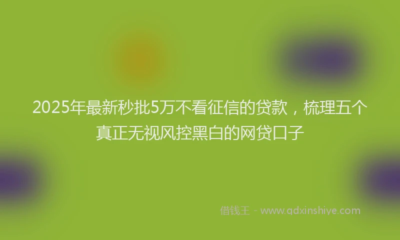2025年最新秒批5万不看征信的贷款，梳理五个真正无视风控黑白的网贷口子