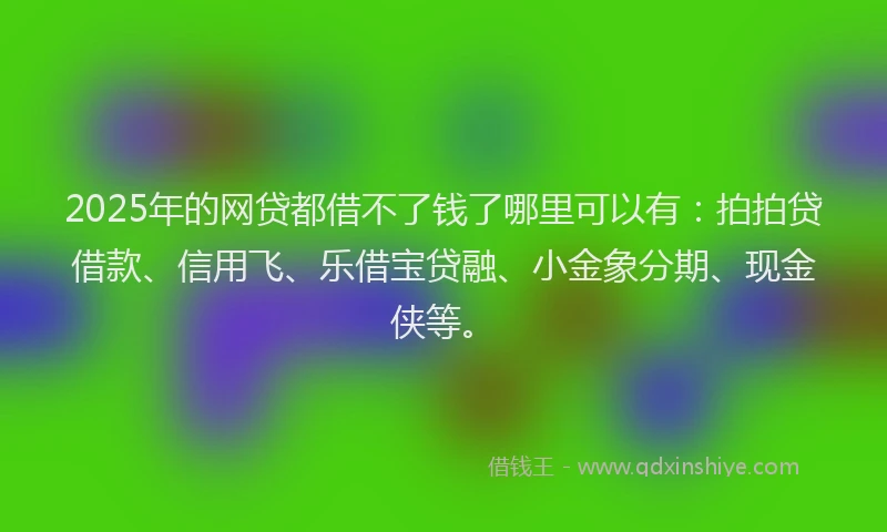 2025年的网贷都借不了钱了哪里可以有：拍拍贷借款、信用飞、乐借宝贷融、小金象分期、现金侠等。