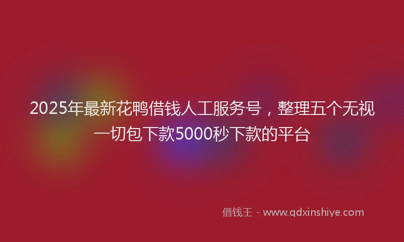 2025年最新花鸭借钱人工服务号，整理五个无视一切包下款5000秒下款的平台