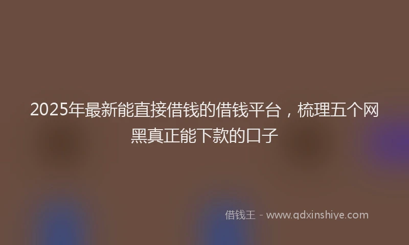 2025年最新能直接借钱的借钱平台，梳理五个网黑真正能下款的口子