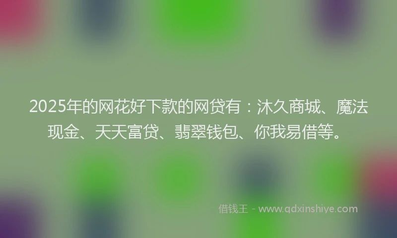 2025年的网花好下款的网贷有：沐久商城、魔法现金、天天富贷、翡翠钱包、你我易借等。