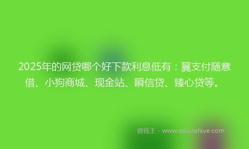 2025年的网贷哪个好下款利息低有：翼支付随意借、小狗商城、现金站、瞬信贷、臻心贷等。