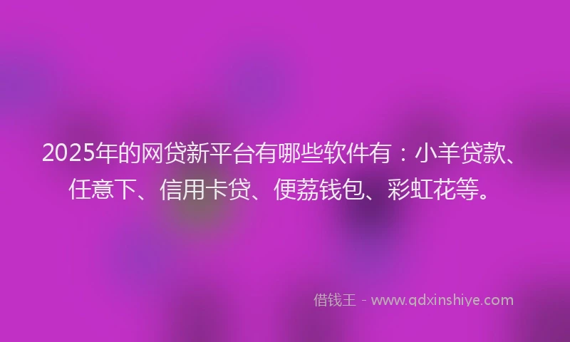 2025年的网贷新平台有哪些软件有：小羊贷款、任意下、信用卡贷、便荔钱包、彩虹花等。