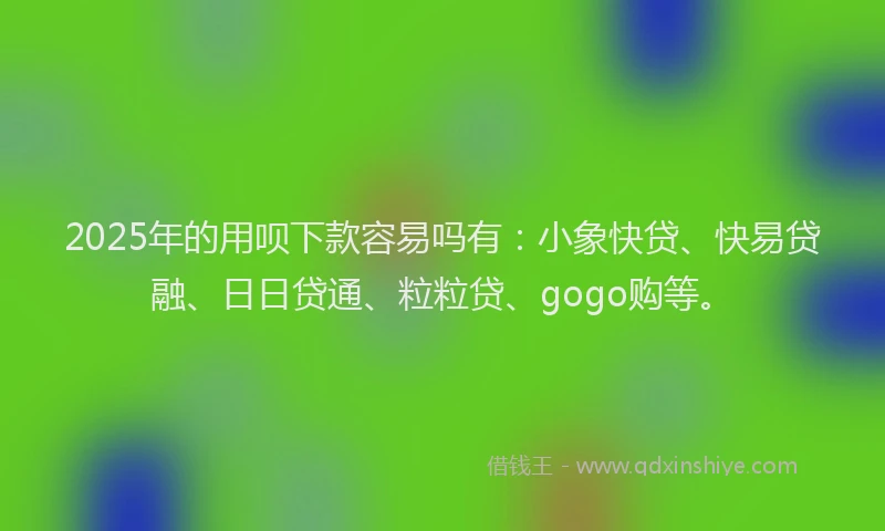 2025年的用呗下款容易吗有：小象快贷、快易贷融、日日贷通、粒粒贷、gogo购等。