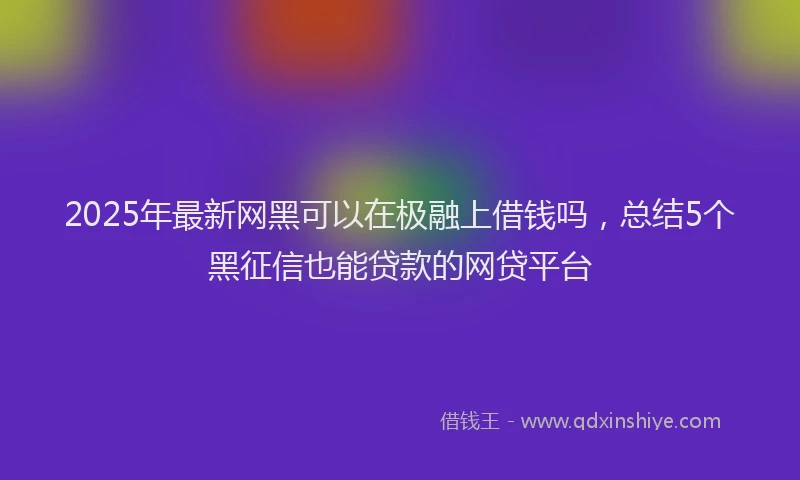2025年最新网黑可以在极融上借钱吗，总结5个黑征信也能贷款的网贷平台