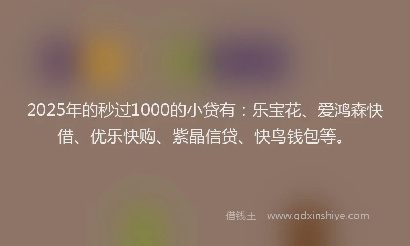2025年的秒过1000的小贷有：乐宝花、爱鸿森快借、优乐快购、紫晶信贷、快鸟钱包等。