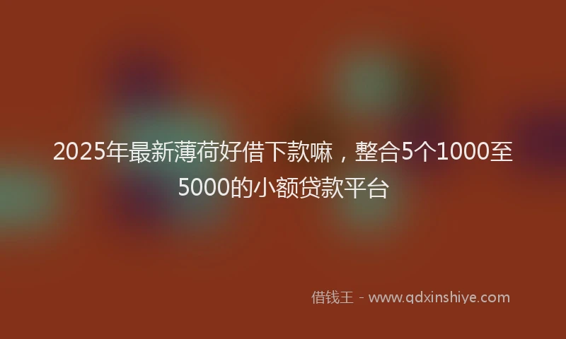 2025年最新薄荷好借下款嘛，整合5个1000至5000的小额贷款平台
