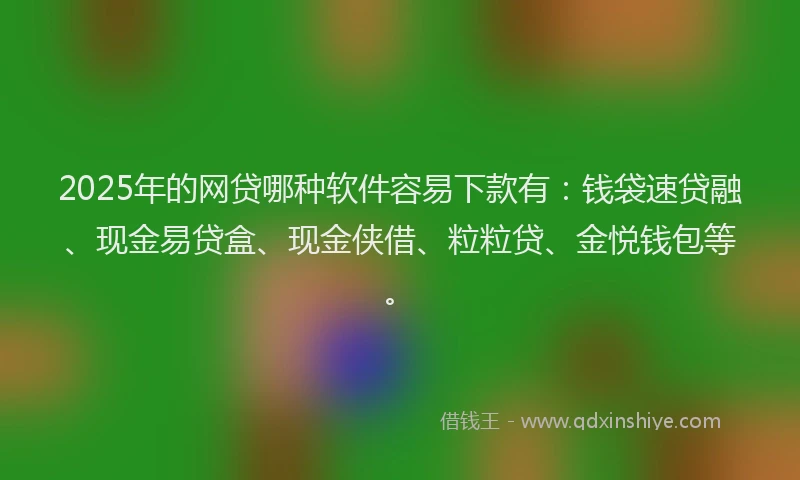 2025年的网贷哪种软件容易下款有：钱袋速贷融、现金易贷盒、现金侠借、粒粒贷、金悦钱包等。