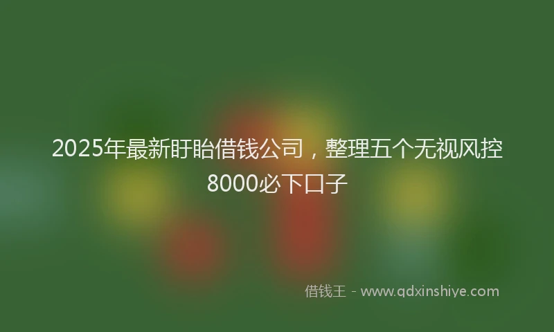 2025年最新盱眙借钱公司，整理五个无视风控8000必下口子