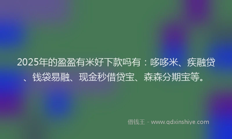 2025年的盈盈有米好下款吗有：哆哆米、疾融贷、钱袋易融、现金秒借贷宝、森森分期宝等。