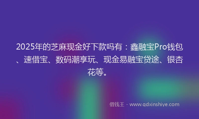 2025年的芝麻现金好下款吗有：鑫融宝Pro钱包、速借宝、数码潮享玩、现金易融宝贷途、银杏花等。